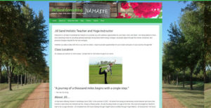 Jill Sand Consulting Website